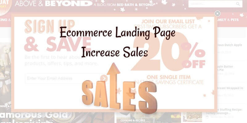 Your Ecommerce Landing Page:  How to Optimize and Increase Sales